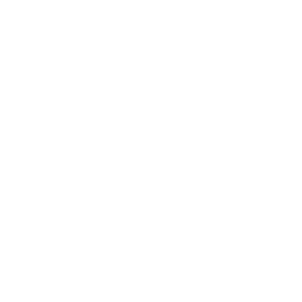 Logo-light